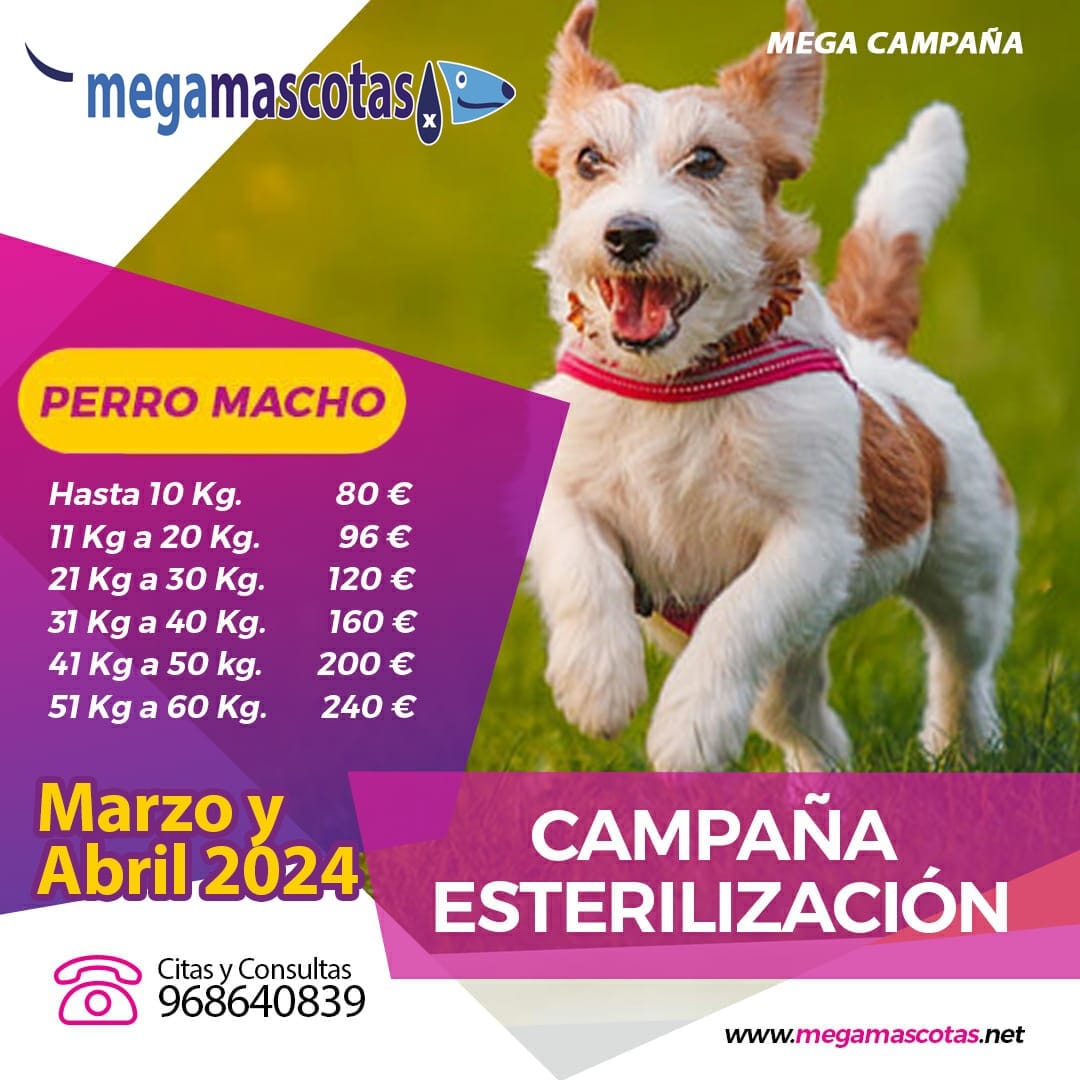 CAMPAÑA ESTERILIZACIÓN